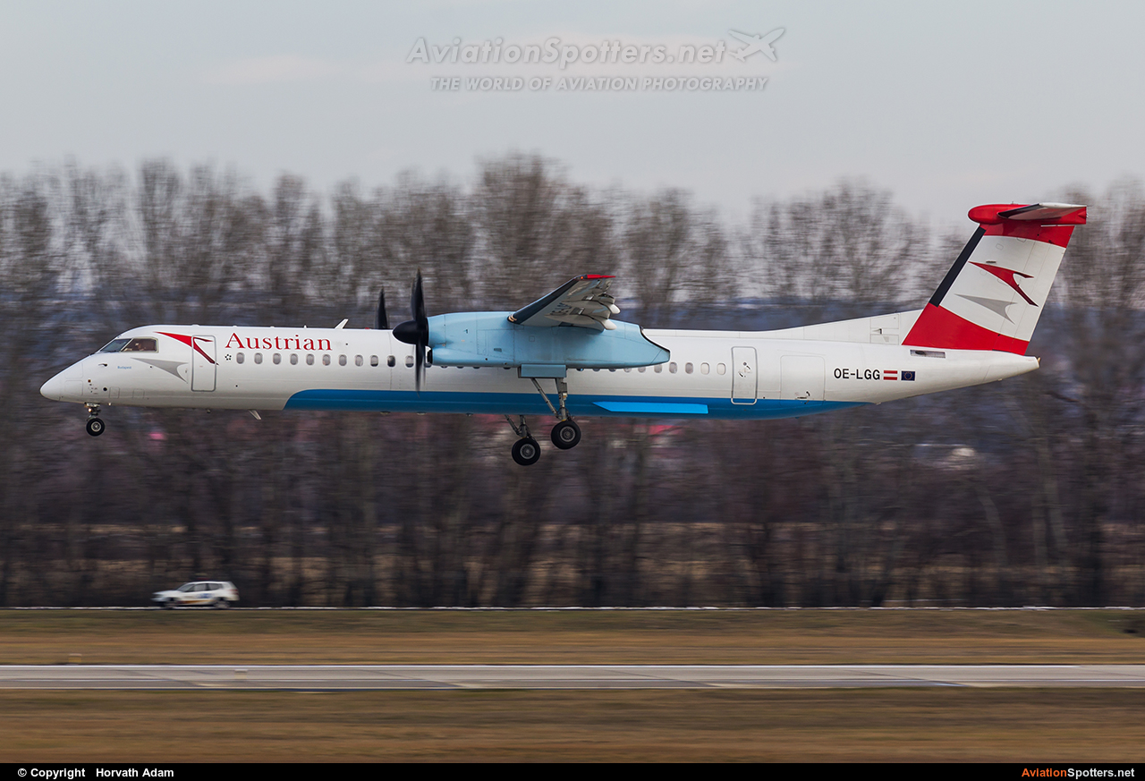 Austrian Airlines  -  DHC-8-400Q Dash 8  (OE-LGG) By Horvath Adam (odin7602)