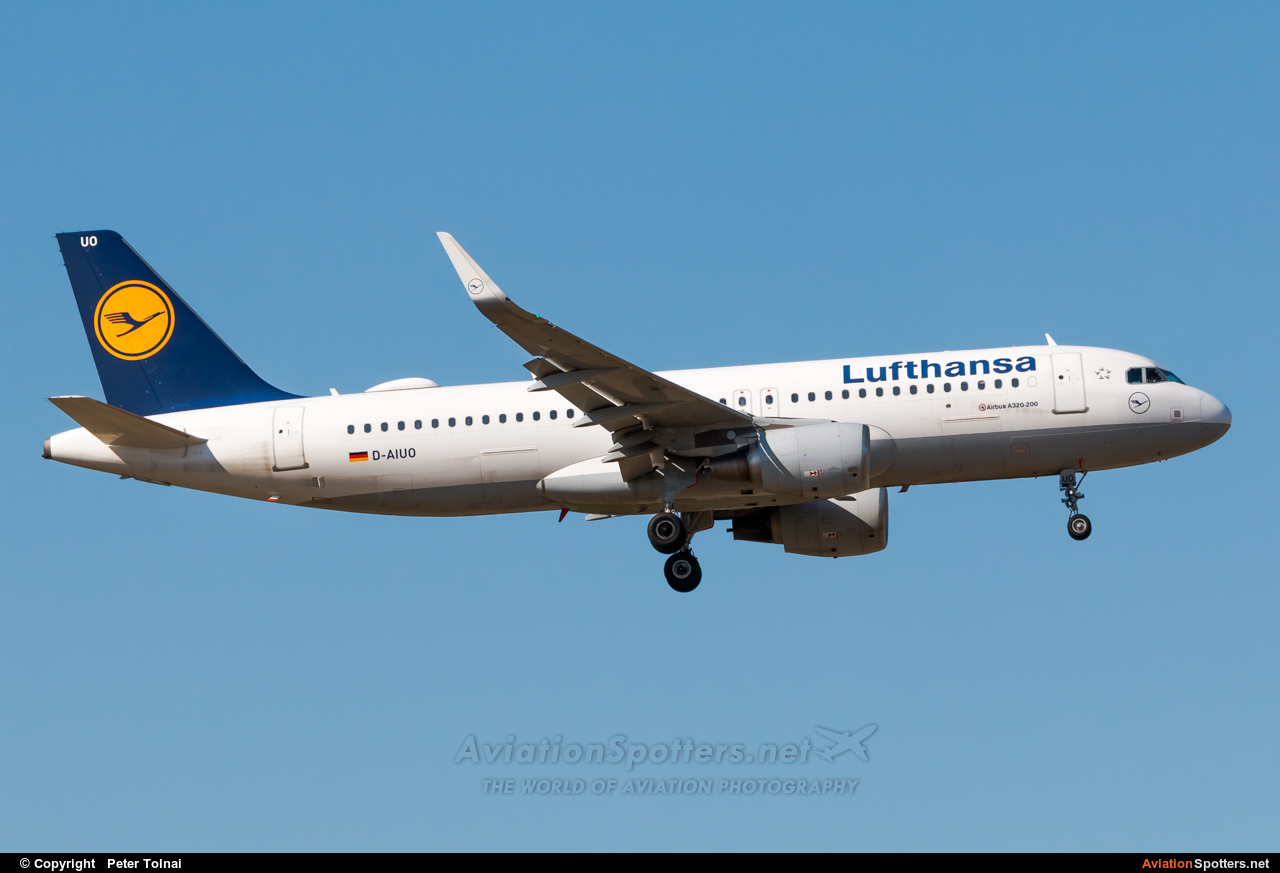 Lufthansa  -  A320-214  (D-AIUO) By Peter Tolnai (ptolnai)