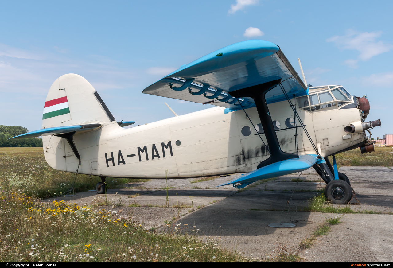Private  -  Mielec An-2  (HA-MAM) By Peter Tolnai (ptolnai)
