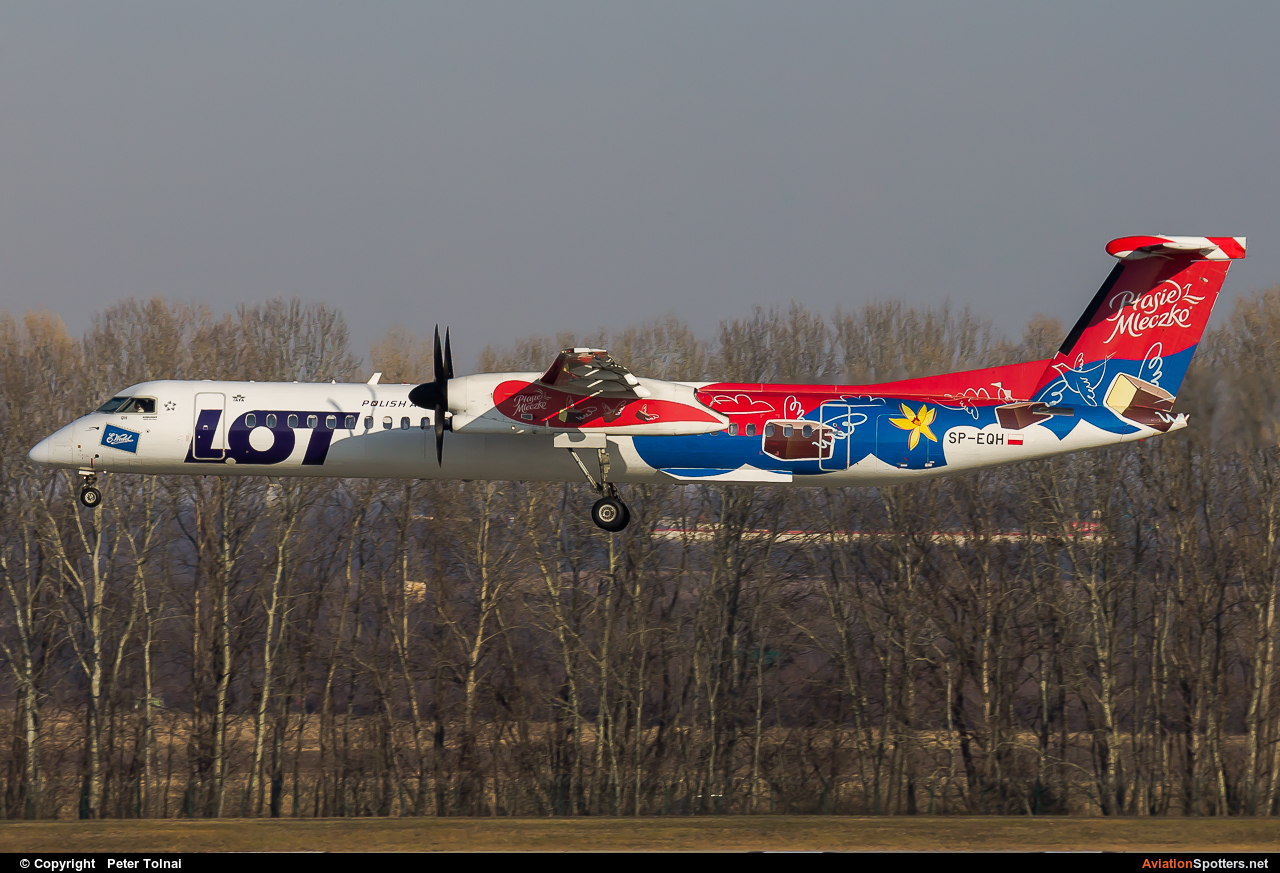 euroLOT  -  DHC-8-402Q Dash 8  (SP-EQH) By Peter Tolnai (ptolnai)