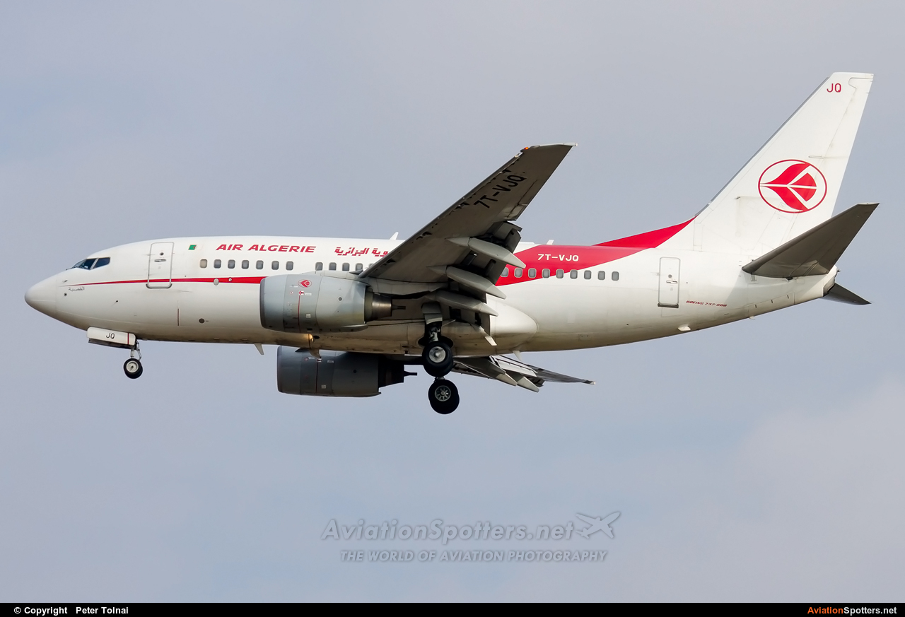 Air Algerie  -  737-600  (7T-VJQ) By Peter Tolnai (ptolnai)