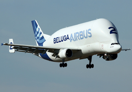 Airbus - A300 Beluga (F-GSTB) - AirComunity