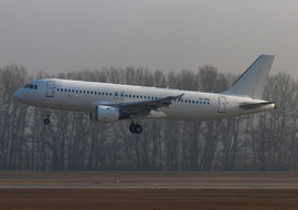 Airbus - A320-233 (YL-LCN) - Rozgonyi Cecília