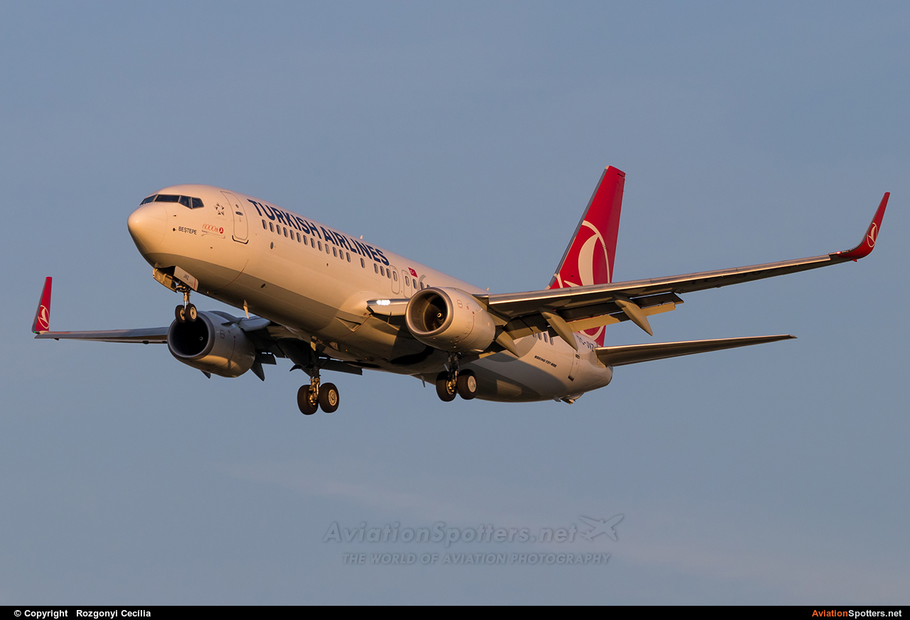 Turkish Airlines  -  737-800  (TC-JVZ) By Rozgonyi Cecília (Rozgonyi Cecília)
