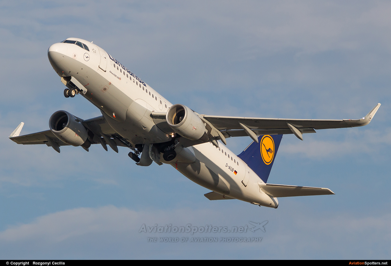 Lufthansa  -  A320-214  (D-AIUB) By Rozgonyi Cecília (Rozgonyi Cecília)