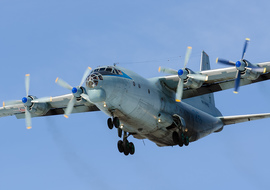 Antonov - An-12 (all models) (RF-95685) - Alexey Mityaev