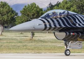 General Dynamics - F-16CG  Fighter  Falcon (91-0011) - zaferbuna