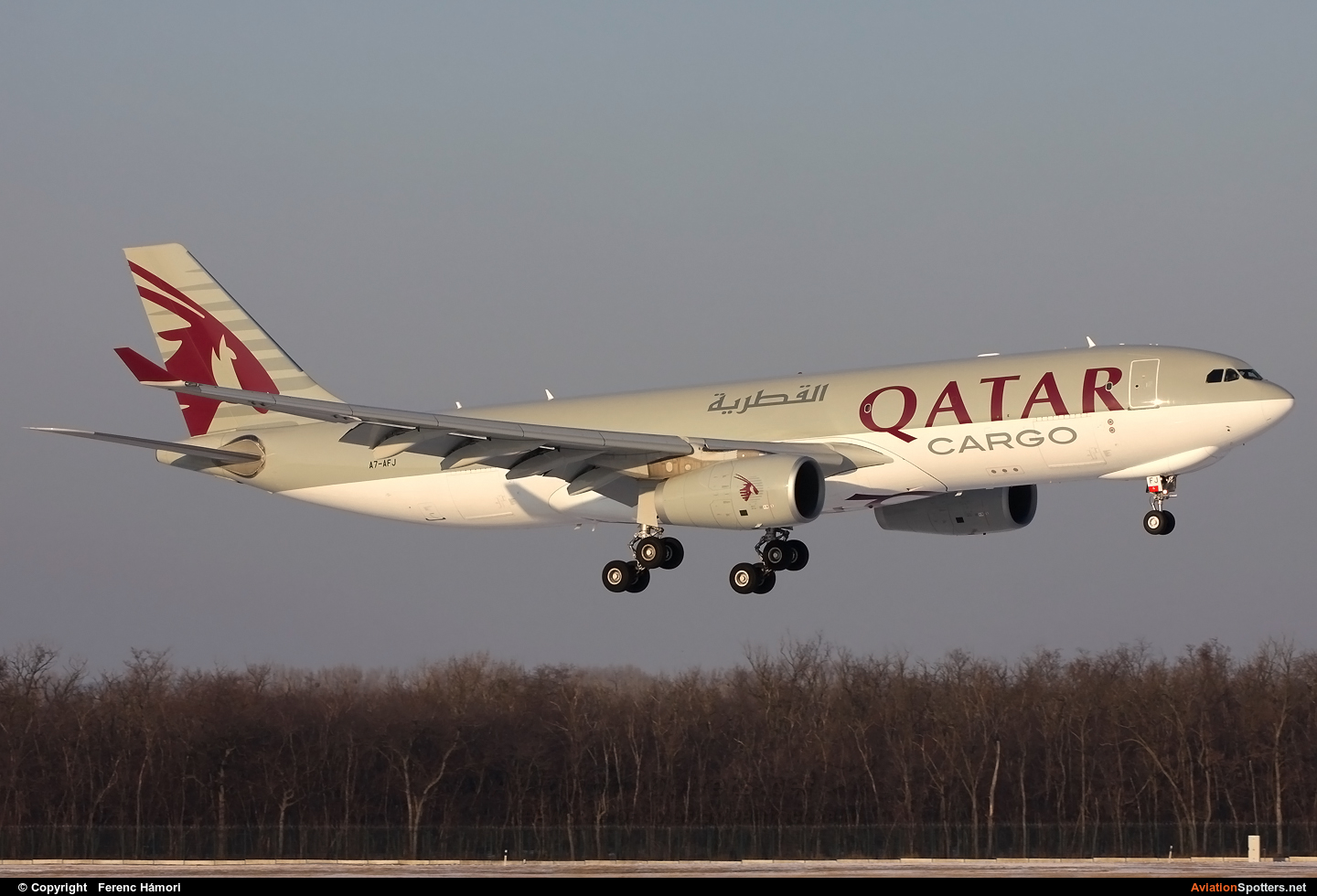 Qatar Airways Cargo  -  A330-200F  (A7-AFJ) By Ferenc Hámori (hamori)