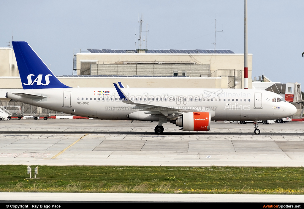 SAS - Scandinavian Airlines  -  A320  (SE-DOZ) By Ray Biago Pace (rbpace)