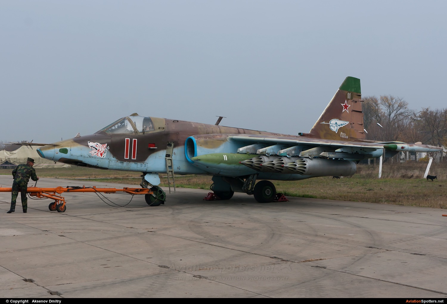 Russia - Air Force  -  Su-25K  (11 RED) By Aksenov Dmitry (Adimka)