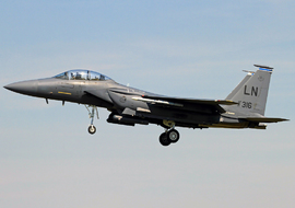 McDonnell Douglas - F-15E Strike Eagle (96-0202) - ctt2706