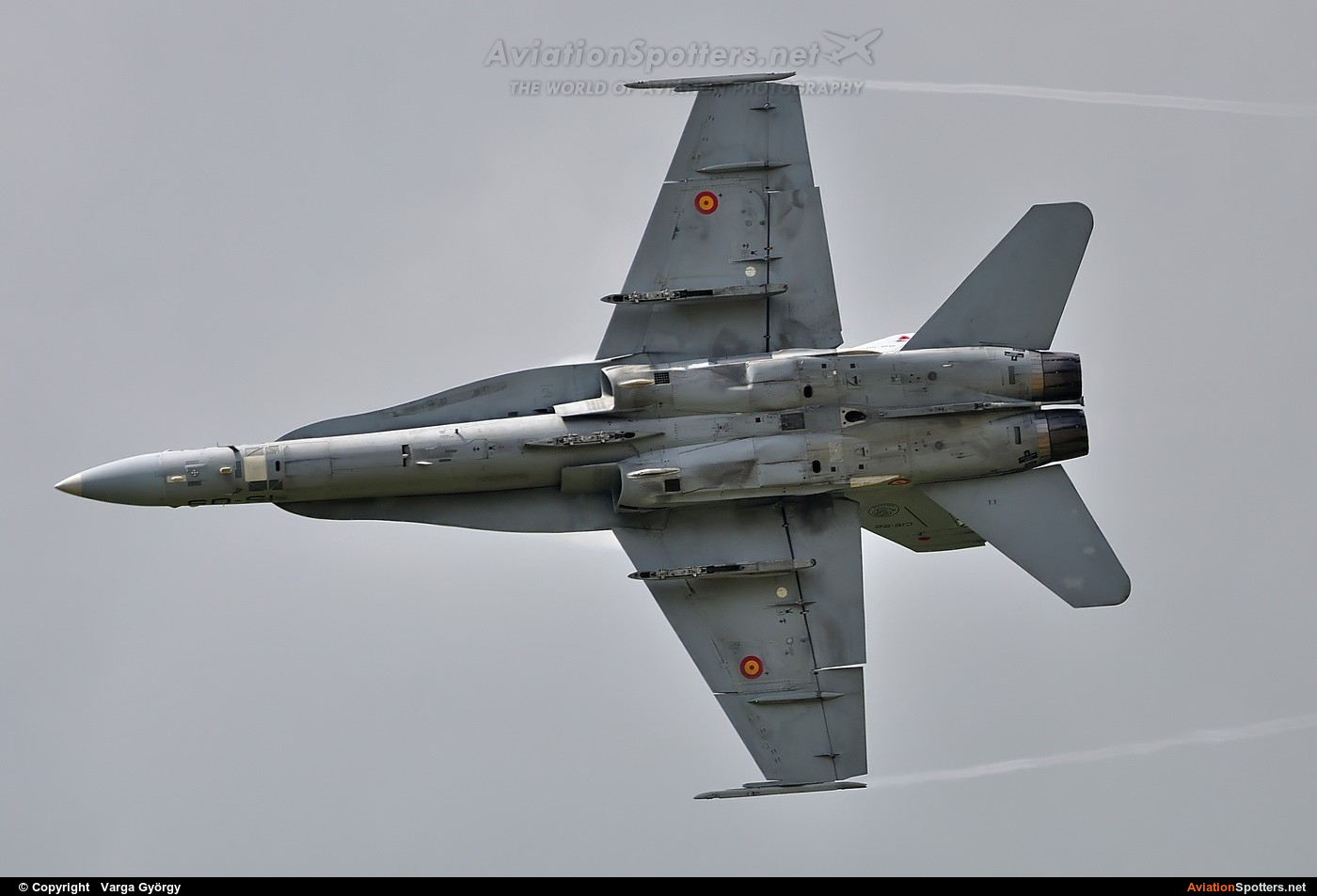 Spain - Air Force  -  EF-18A Hornet  (C.15-22) By Varga György (vargagyuri)