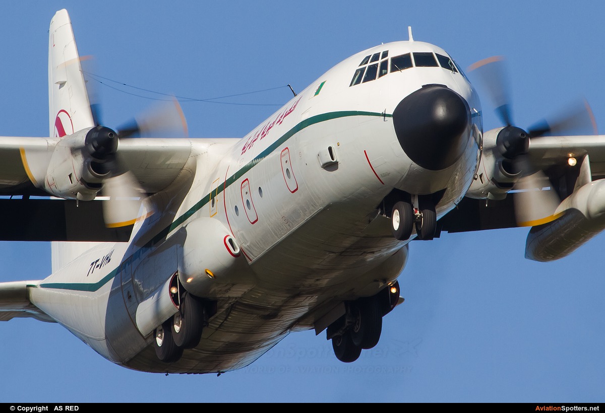 Air Algerie  -  L-100 Hercules  (7T-VHL) By AS RED (kingvarg)