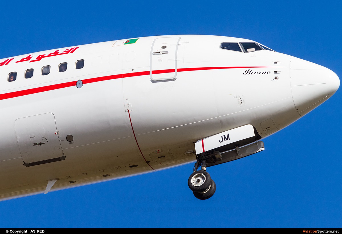 Air Algerie  -  737-800  (7T-VJM) By AS RED (kingvarg)