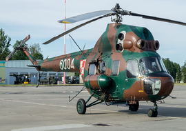 Mil - Mi-2 (6004) - big