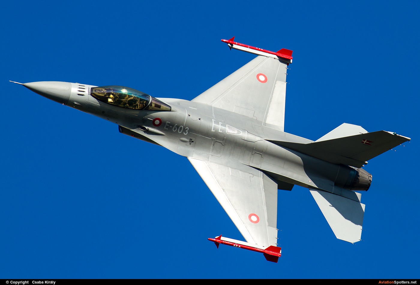 Denmark - Air Force  -  F-16AM Fighting Falcon  (E-603) By Csaba Király (Csaba Kiraly)