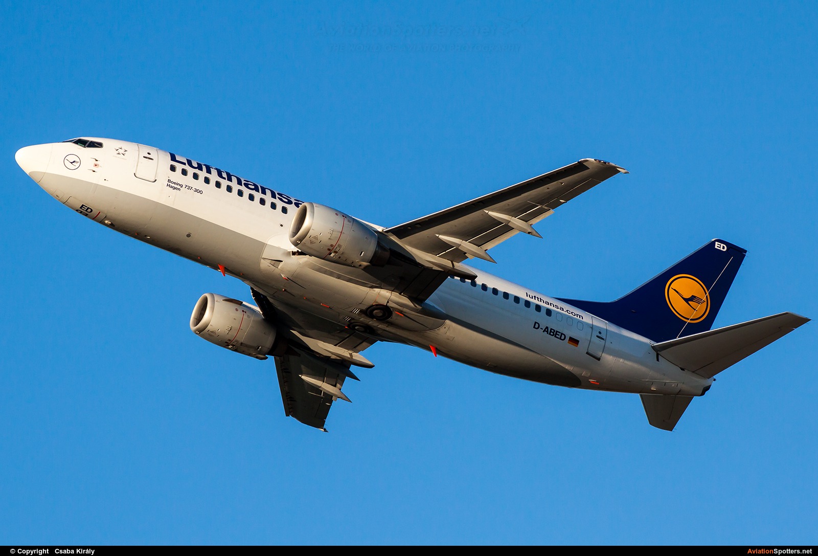 Lufthansa  -  737-300  (D-ABED) By Csaba Király (Csaba Kiraly)