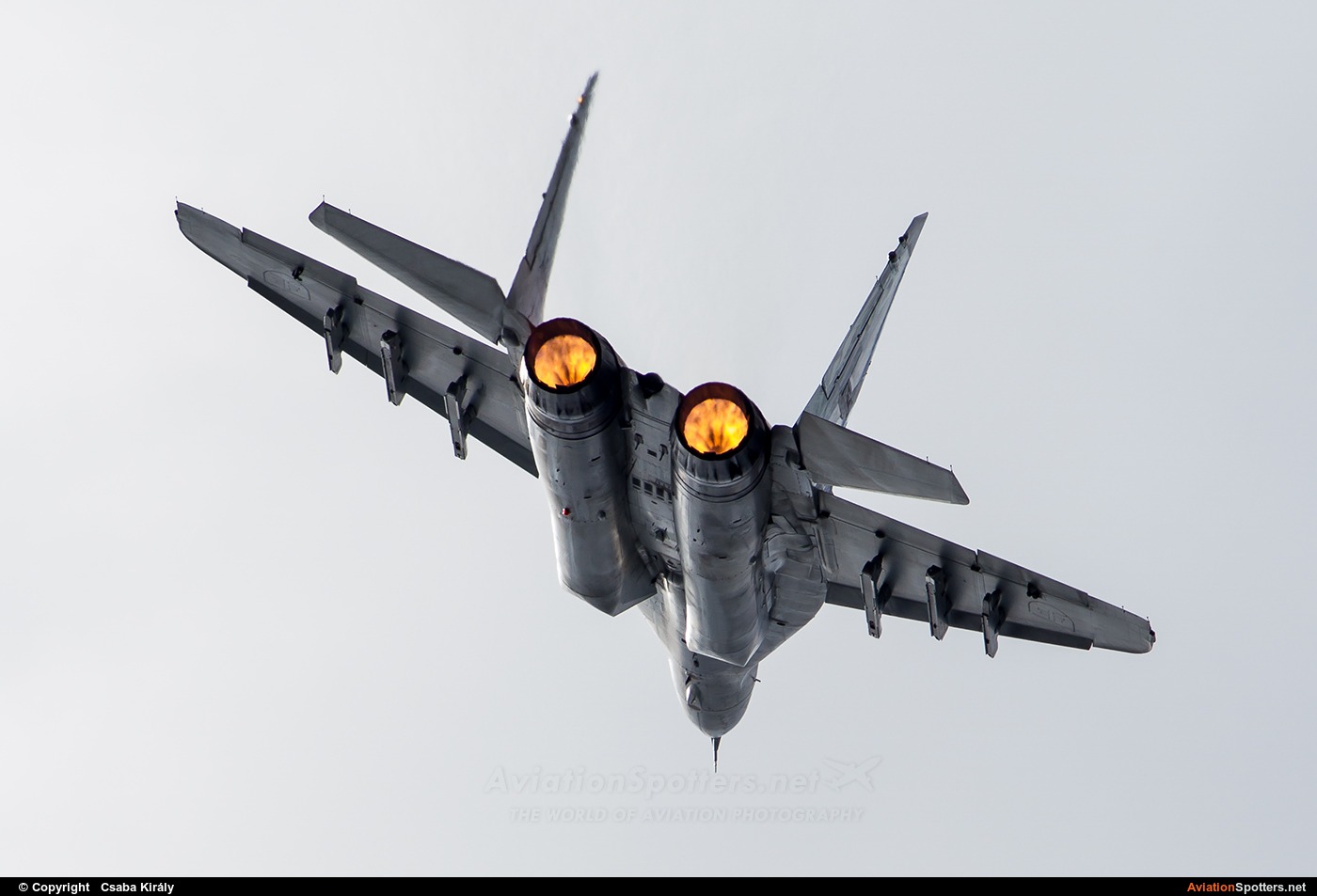 Slovakia - Air Force  -  MiG-29AS  (0921) By Csaba Király (Csaba Kiraly)