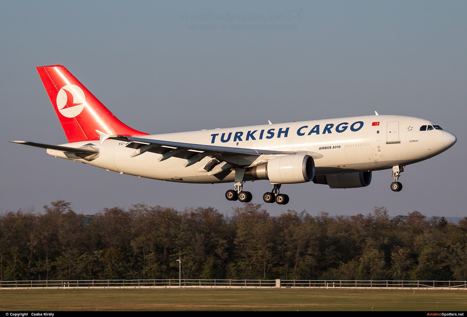 Turkish Airlines Cargo  -  A310F  (TC-JCY) By Csaba Király (Csaba Kiraly)