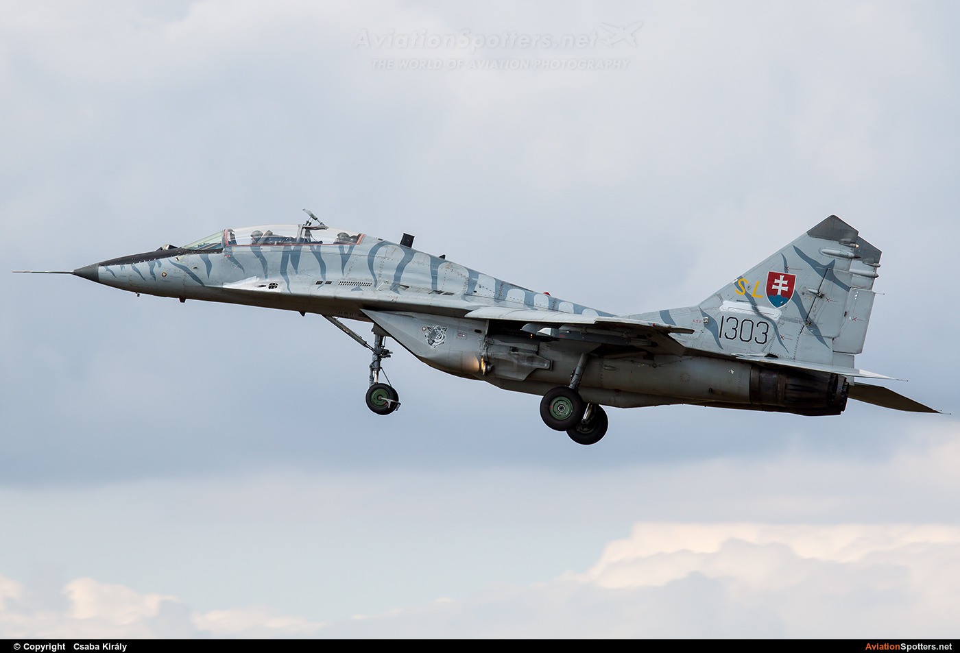 Slovakia - Air Force  -  MiG-29UBS  (1303) By Csaba Király (Csaba Kiraly)