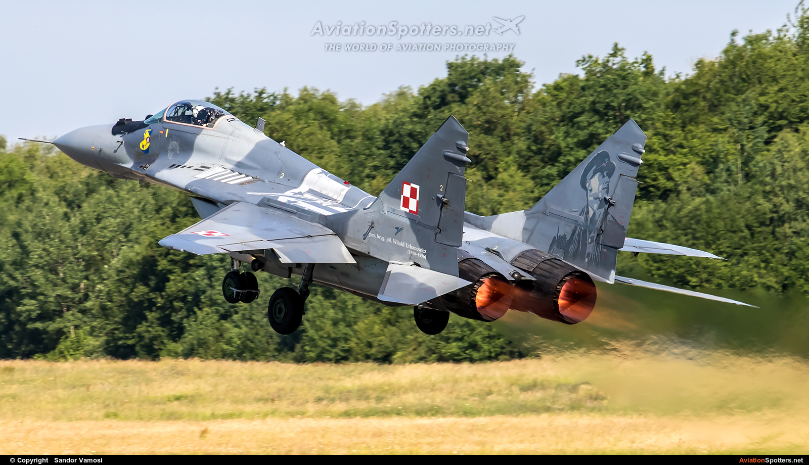 Poland - Air Force  -  MiG-29  (40) By Sandor Vamosi (ALEX67)