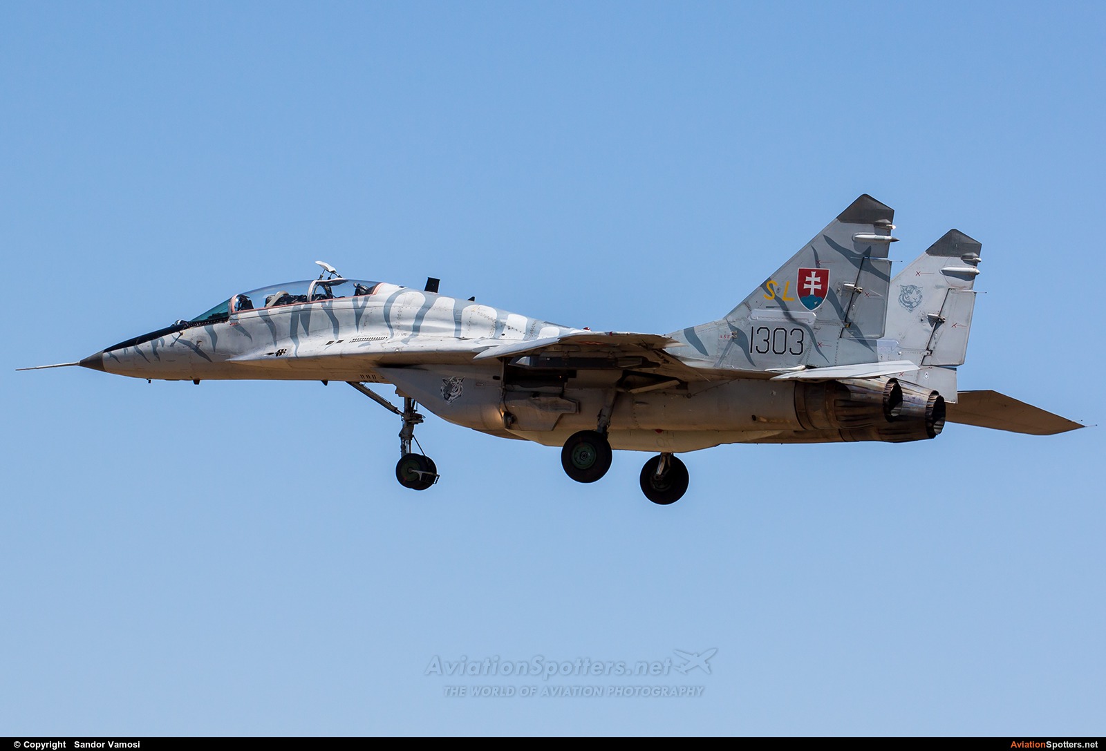 Slovakia - Air Force  -  MiG-29UBS  (1303) By Sandor Vamosi (ALEX67)