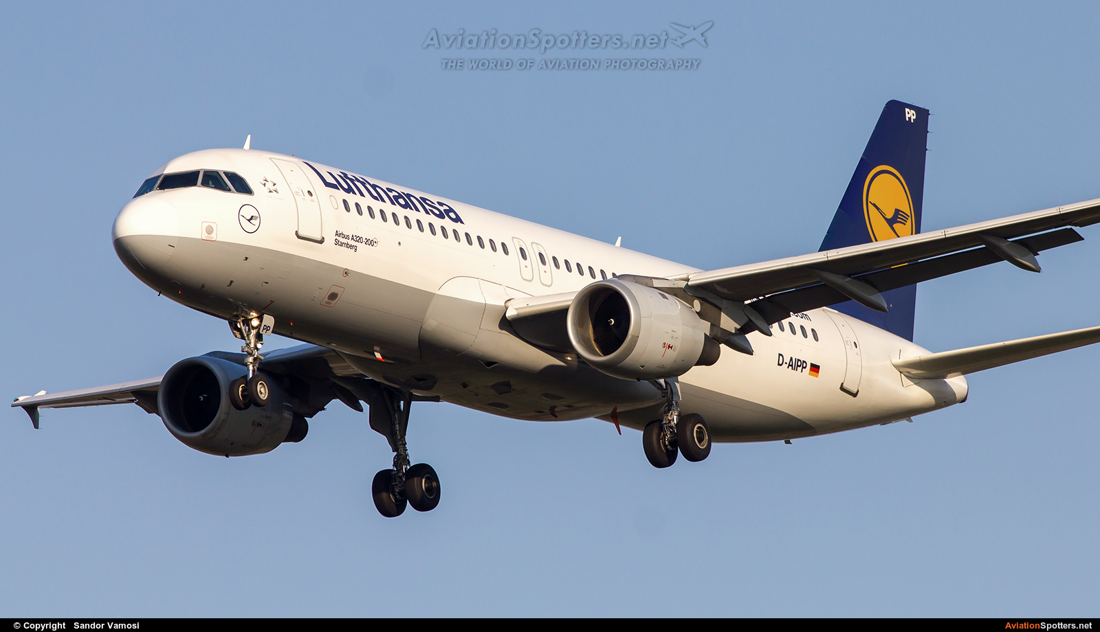 Lufthansa  -  A320  (D-AIPP) By Sandor Vamosi (ALEX67)