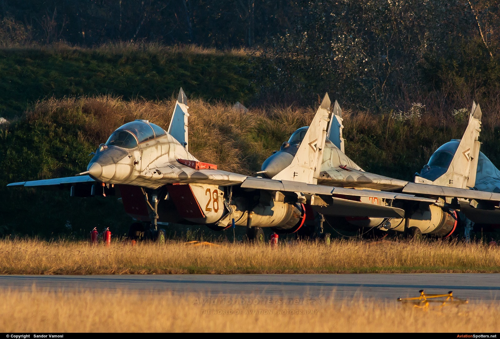 Hungary - Air Force  -  MiG-29UB  (28) By Sandor Vamosi (ALEX67)