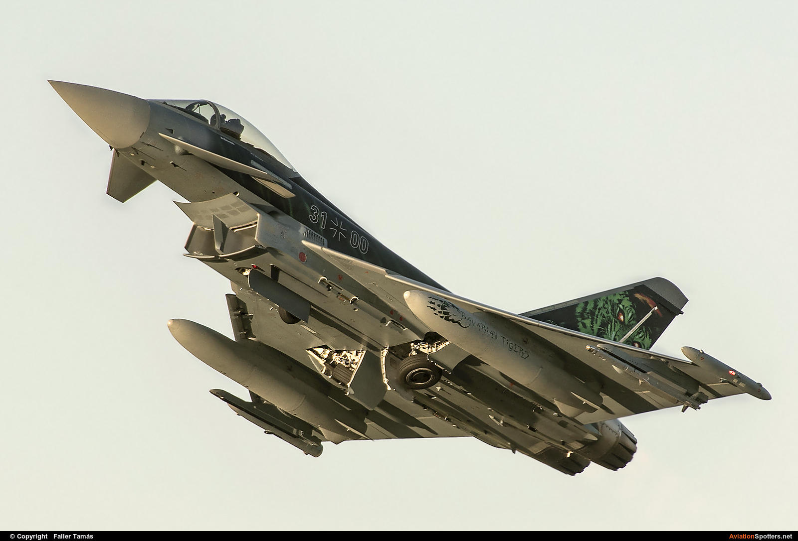 Germany - Air Force  -  Typhoon  (31-00) By Faller Tamás (fallto78)