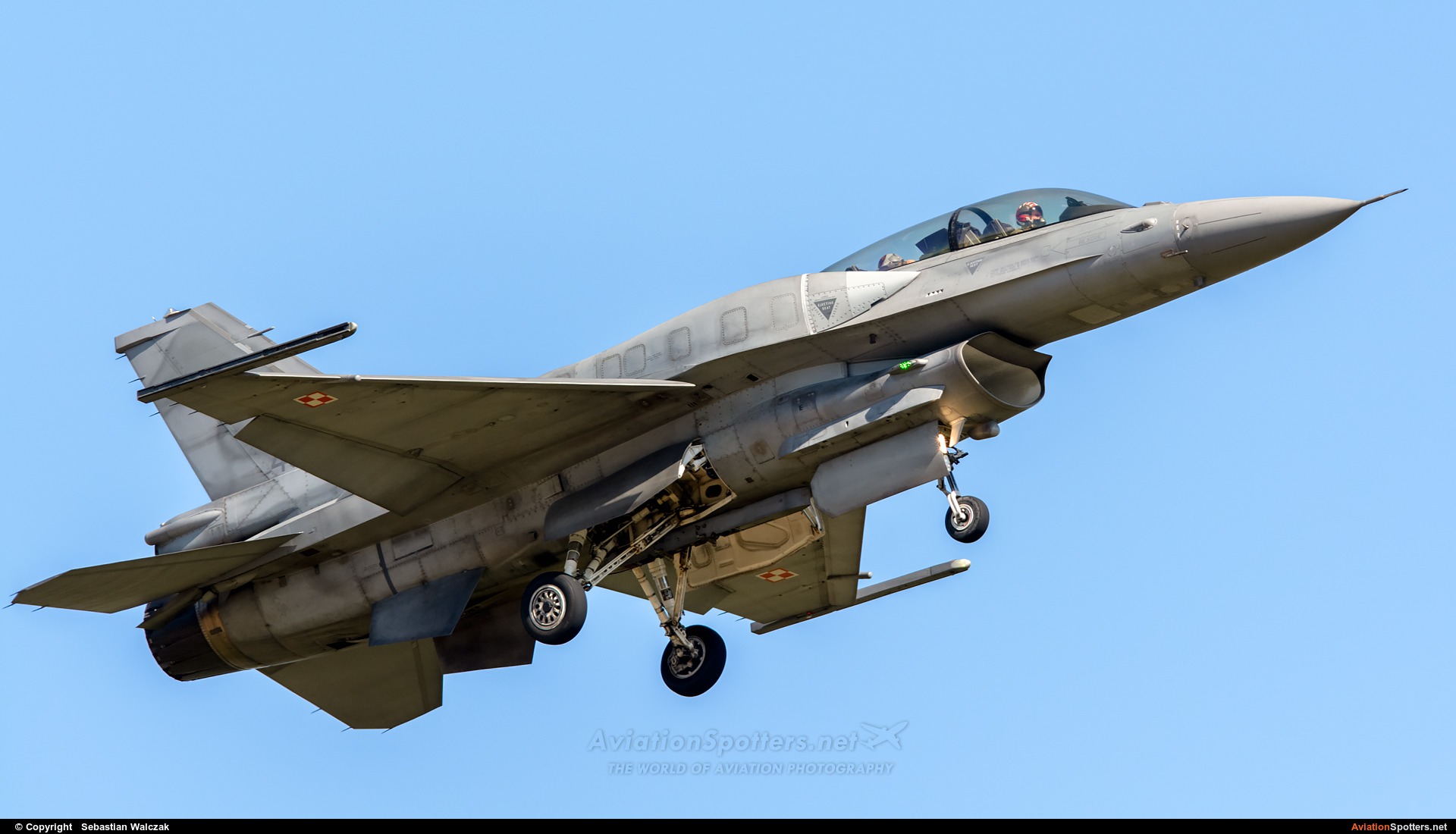 Poland - Air Force  -  F-16D Fighting Falcon  (4077) By Sebastian Walczak (Strange)
