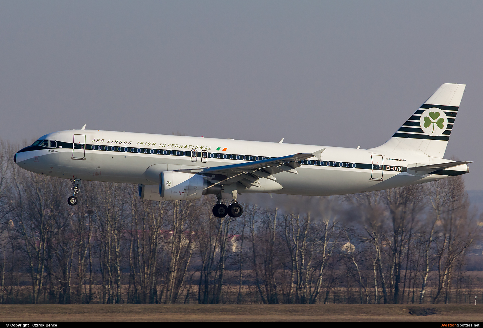 Aer Lingus  -  A320  (EI-DVM) By Czirok Bence (Orosmet)
