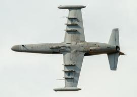 Aero - L-159A Alca (6051) - winkiel