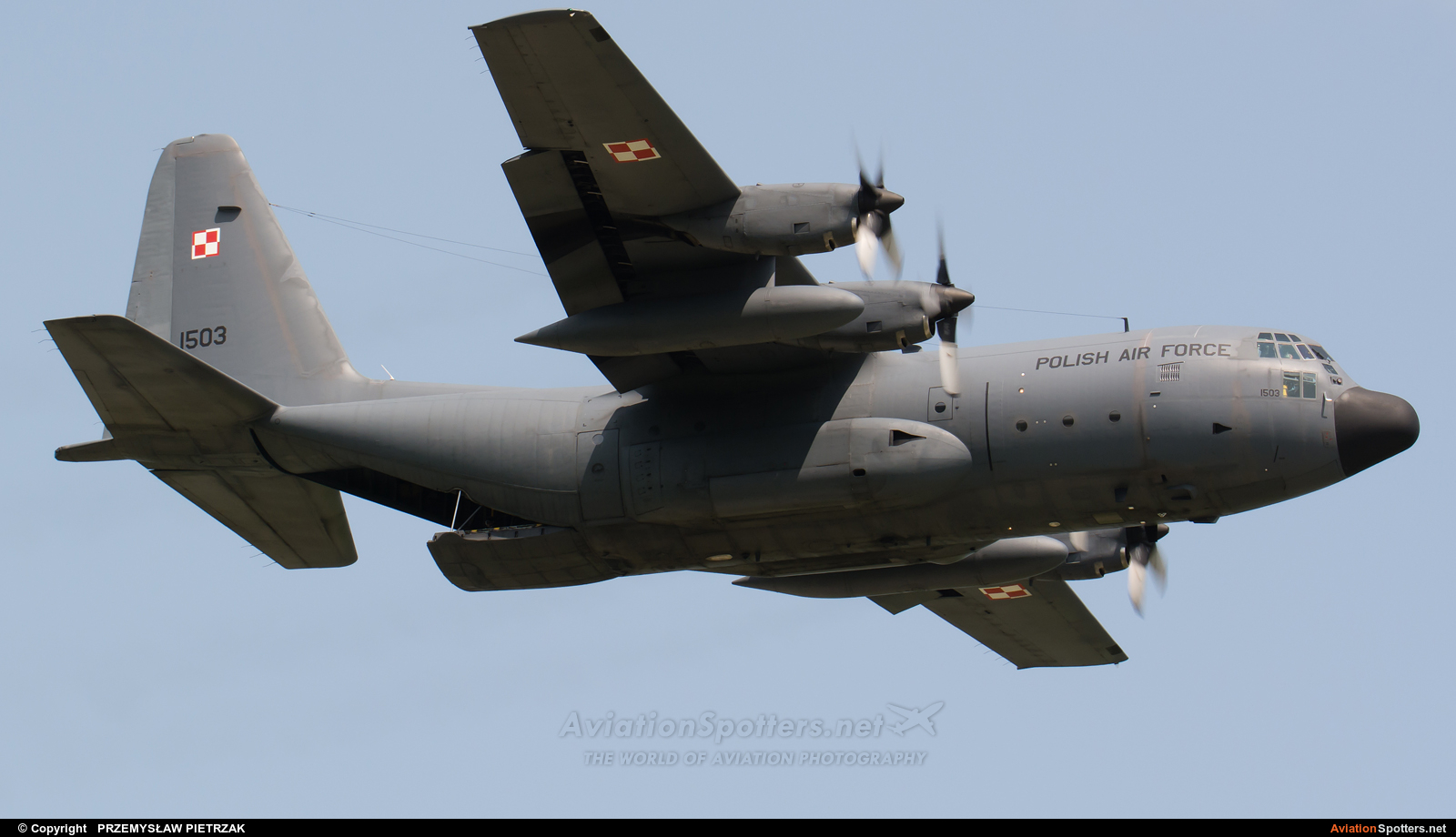 Poland - Air Force  -  C-130E Hercules  (1503) By PRZEMYSŁAW PIETRZAK (PEPE74)