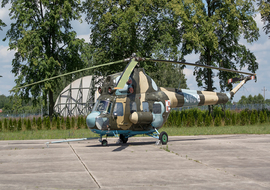 Mil - Mi-2 (4604) - ryś