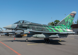 Eurofighter - Typhoon (31-00) - ryś