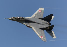 Mikoyan-Gurevich - MiG-29GT (4123) - ryś