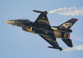 General Dynamics - F-16C Fighting Falcon (88-0029) - ryś