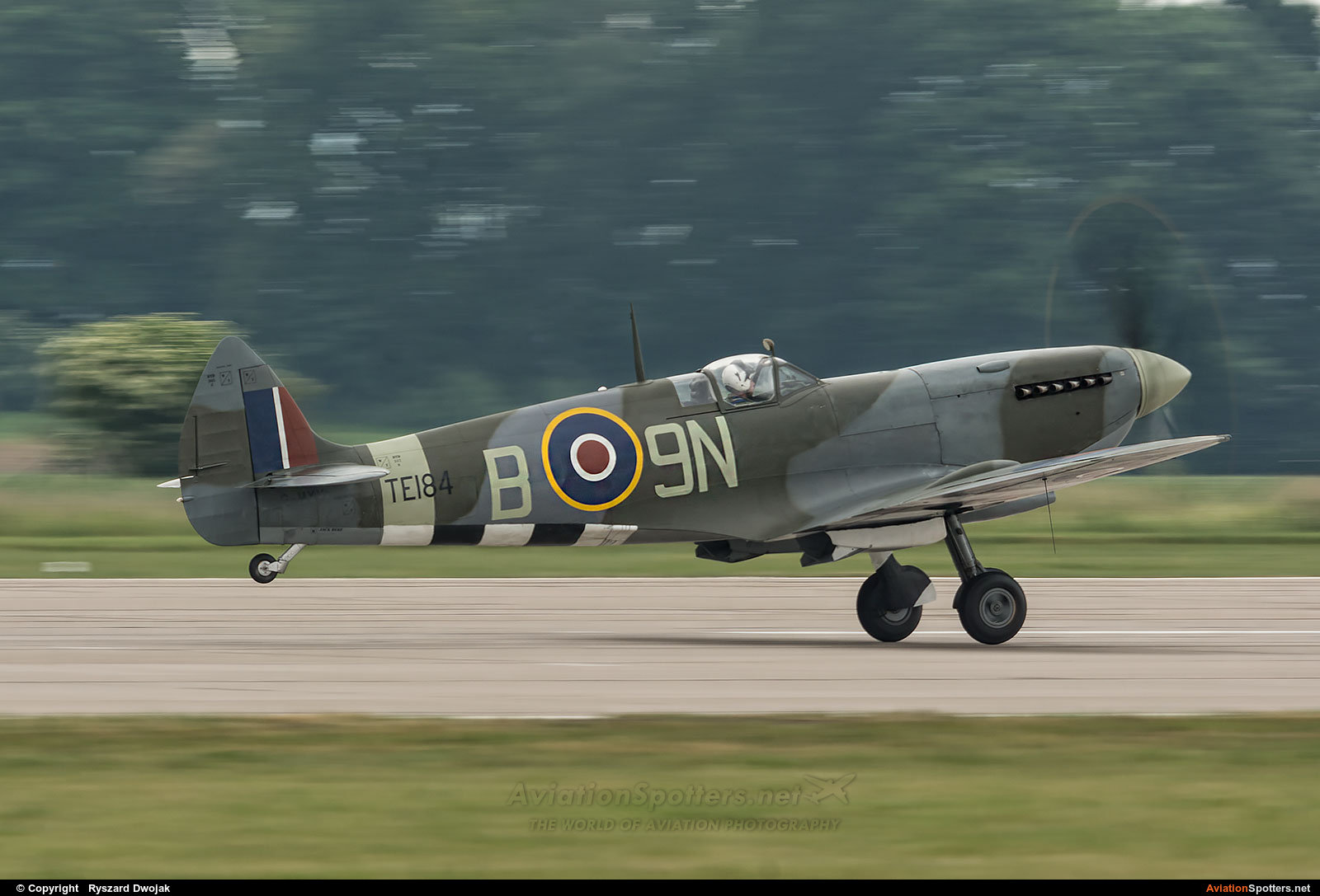 Private  -  Spitfire LF.XVI  (TE 184) By Ryszard Dwojak (ryś)