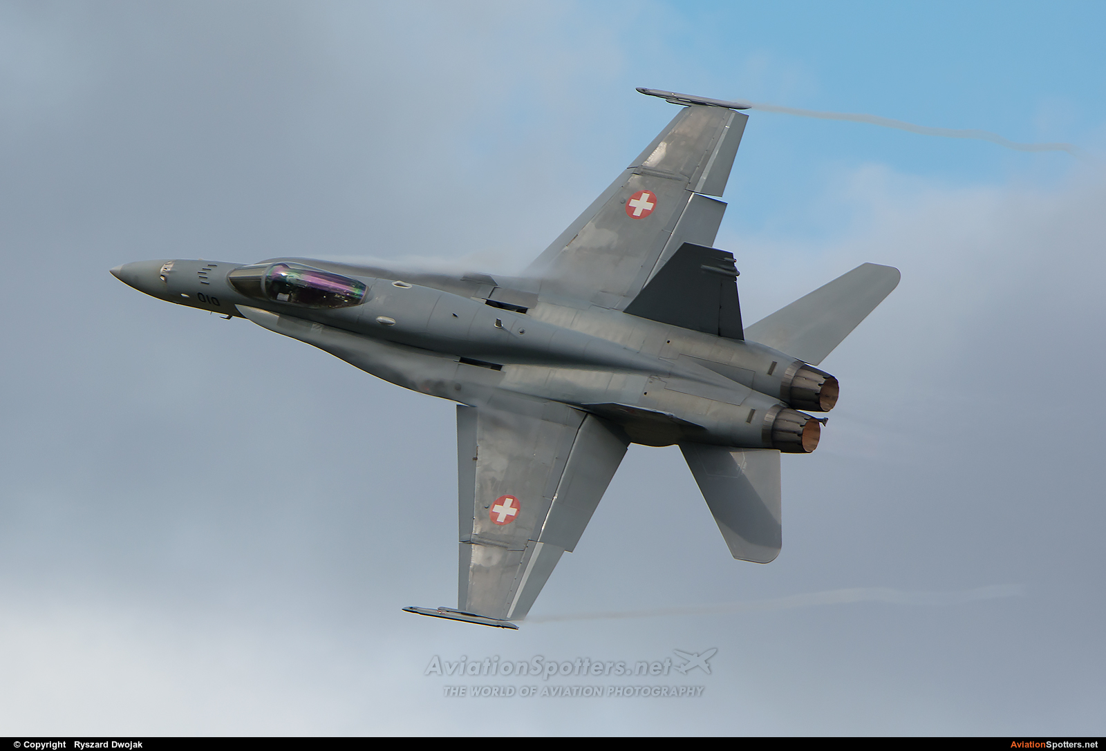 Switzerland - Air Force  -  F/A-18C Hornet  (J-5010) By Ryszard Dwojak (ryś)