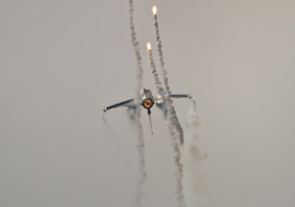 General Dynamics - F-16A Fighting Falcon (FA-84) - gut zoltan