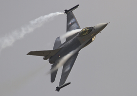 General Dynamics - F-16AM Fighting Falcon (J-631) - gut zoltan