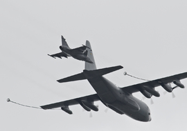 Lockheed - C-130H Hercules (84008) - gut zoltan