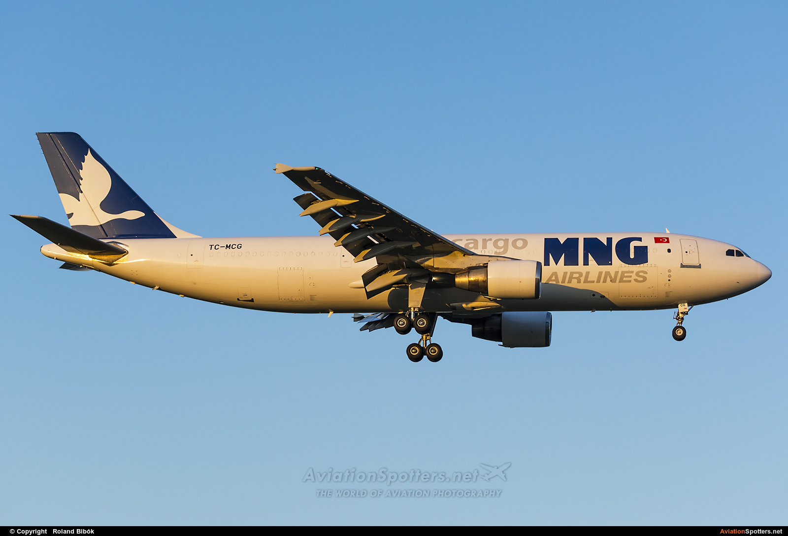 MNG Cargo  -  A300  (TC-MCG) By Roland Bibók (Roland Bibok)