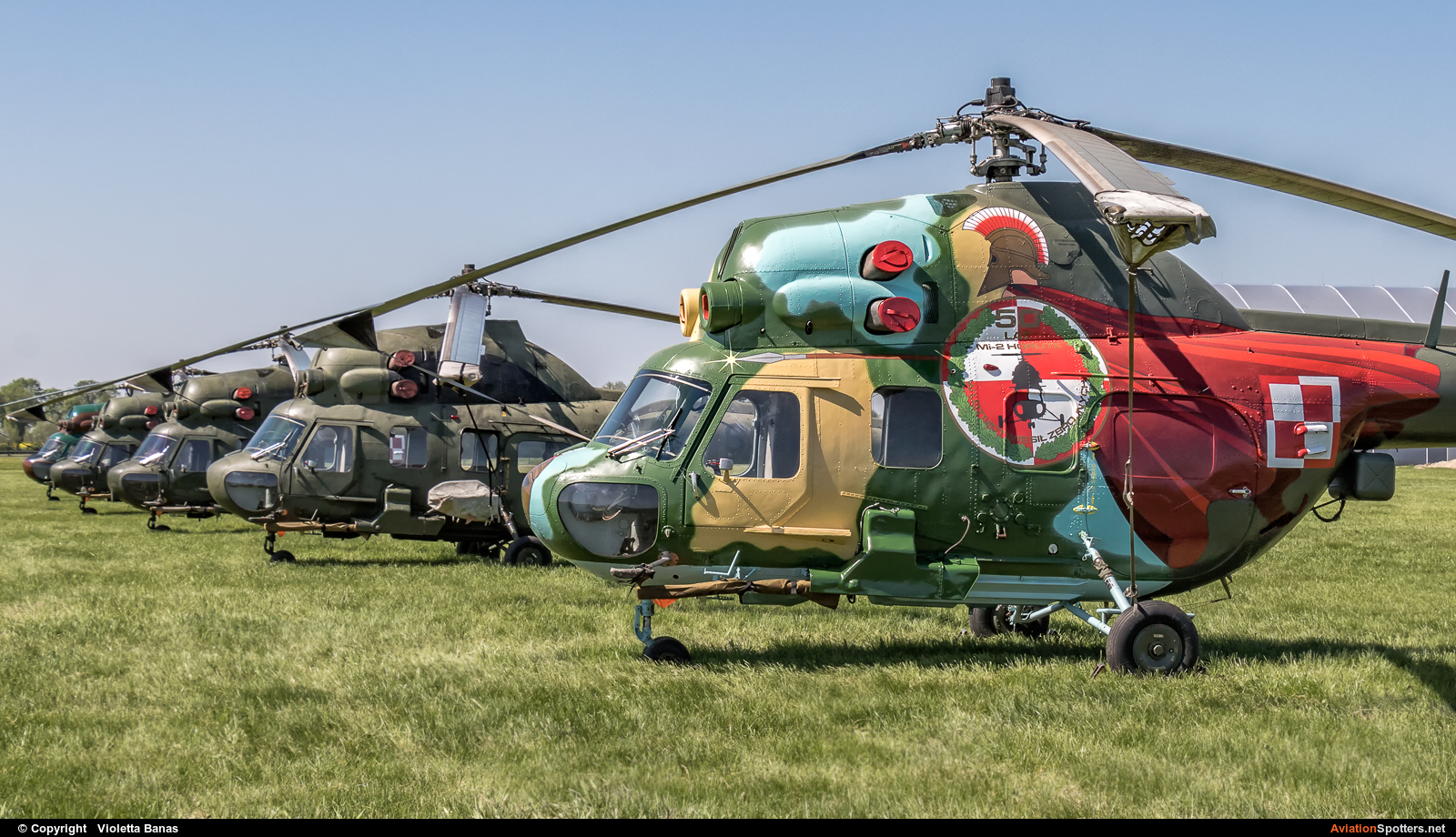 Poland - Army  -  Mi-2  (6922) By Violetta Banas (akant)