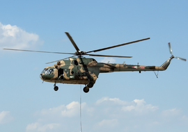 Mil - Mi-17 (701) - sas1965