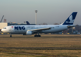 Airbus - A300 (TC-MCG) - sas1965