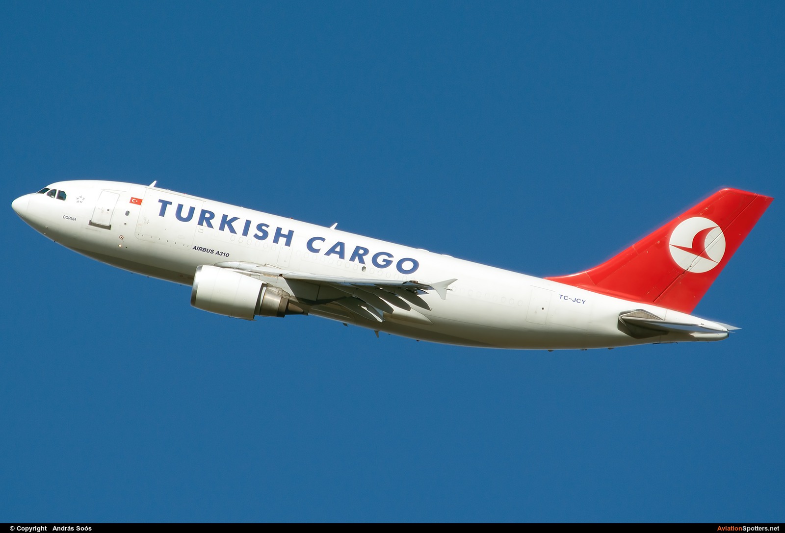 Turkish Airlines Cargo  -  A310F  (TC-JCY) By András Soós (sas1965)