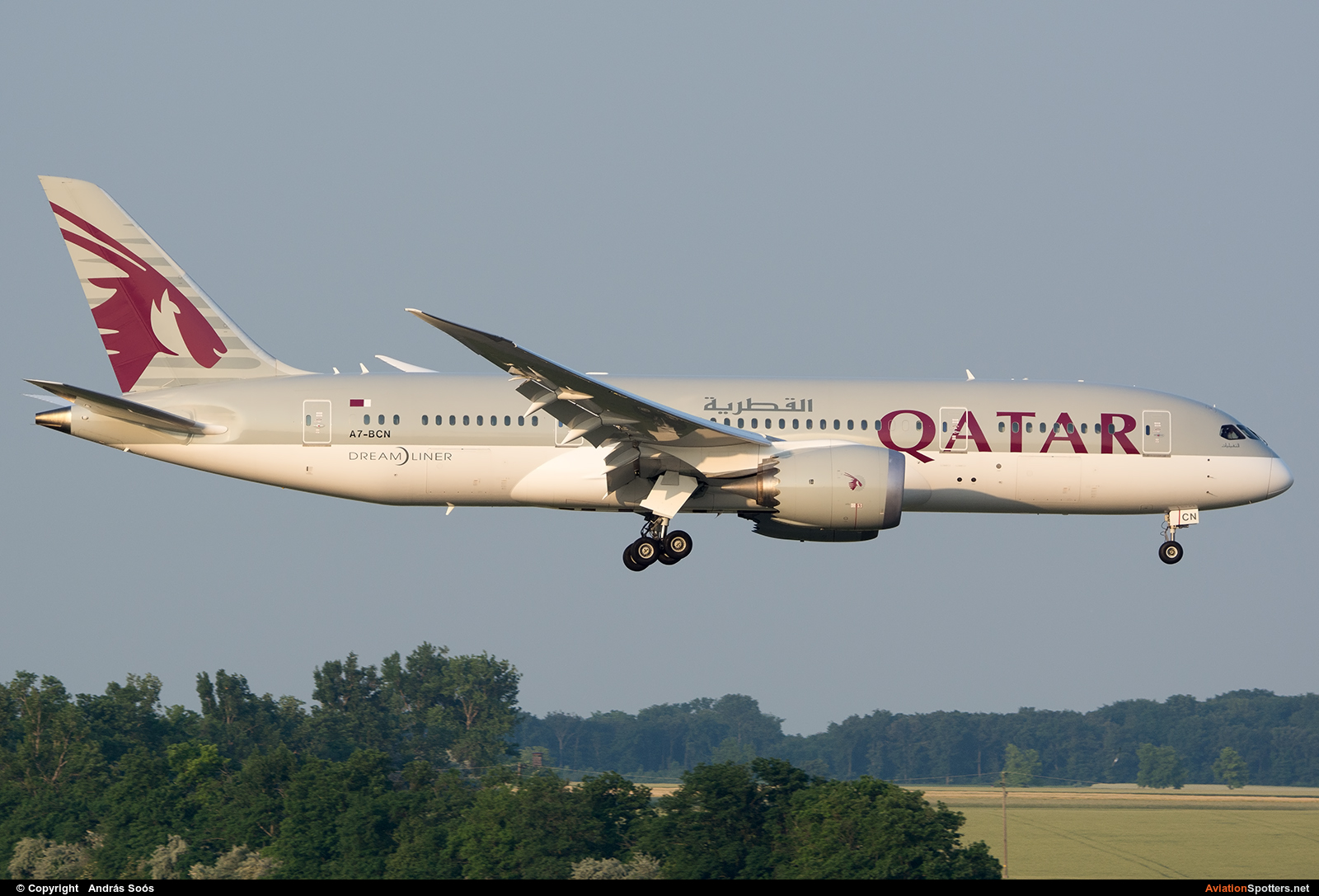 Qatar Airways  -  787-8 Dreamliner  (A7-BCN) By András Soós (sas1965)