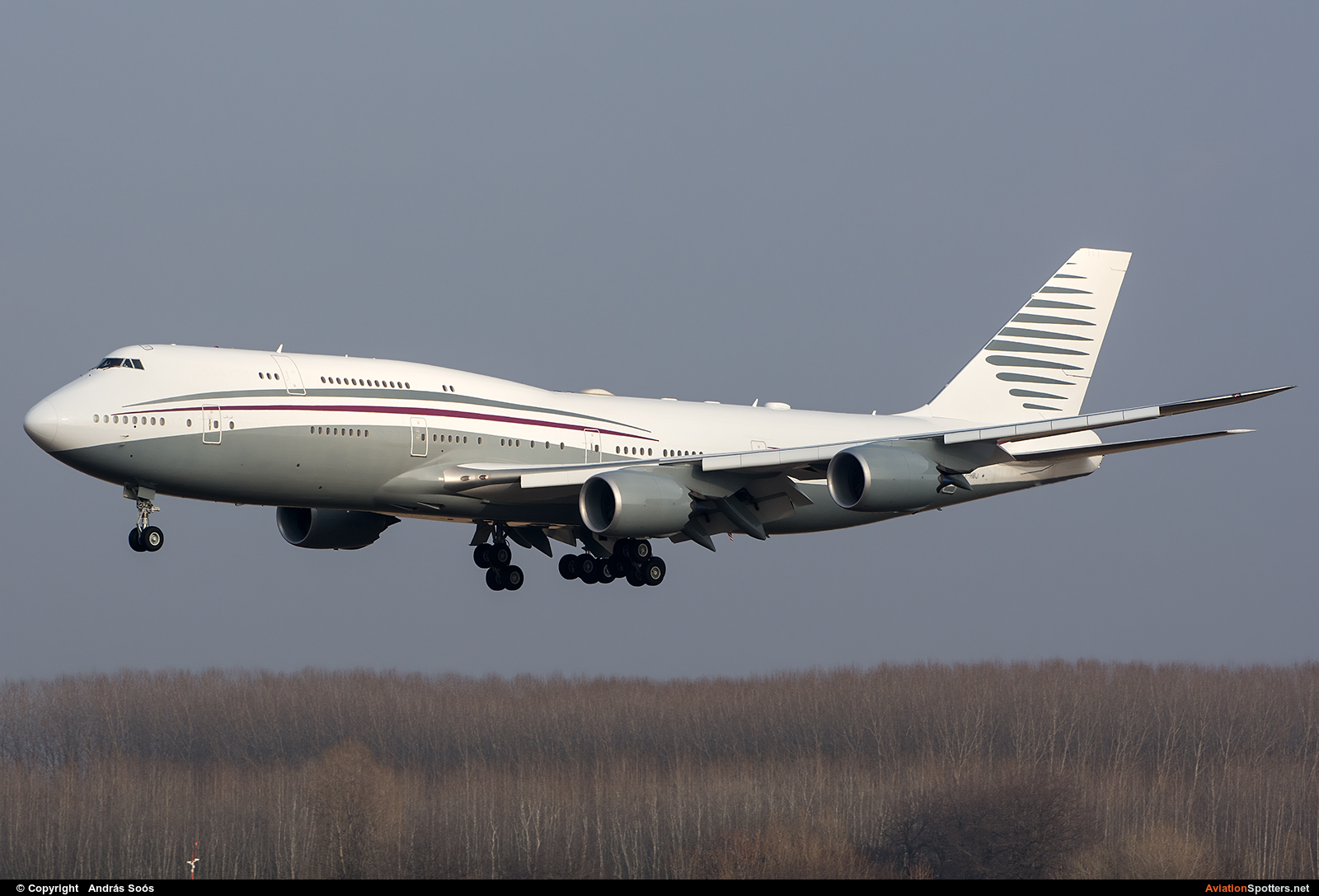 Qatar Amiri Flight  -  747-8  (A7-HBJ) By András Soós (sas1965)