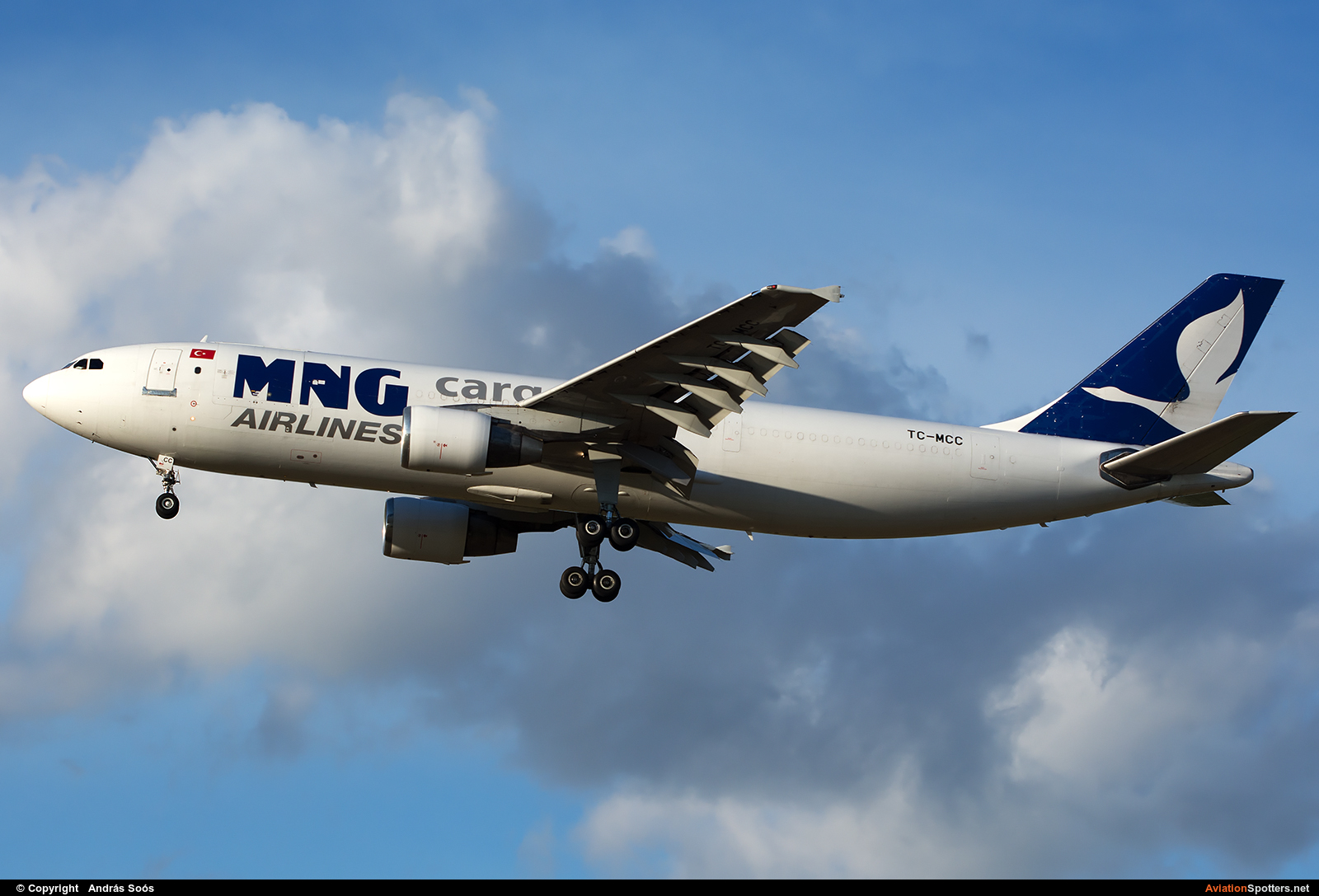 MNG Cargo  -  A300F  (TC-MCC) By András Soós (sas1965)